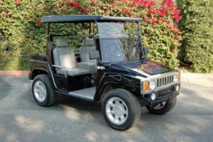 affordable golf cart rental, golf cart rent norfolk golf cart rental