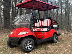 golf cart rental norfolk, norfolk golf cart rental