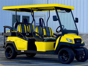norfolk golf cart service, golf cart repair norfolk 